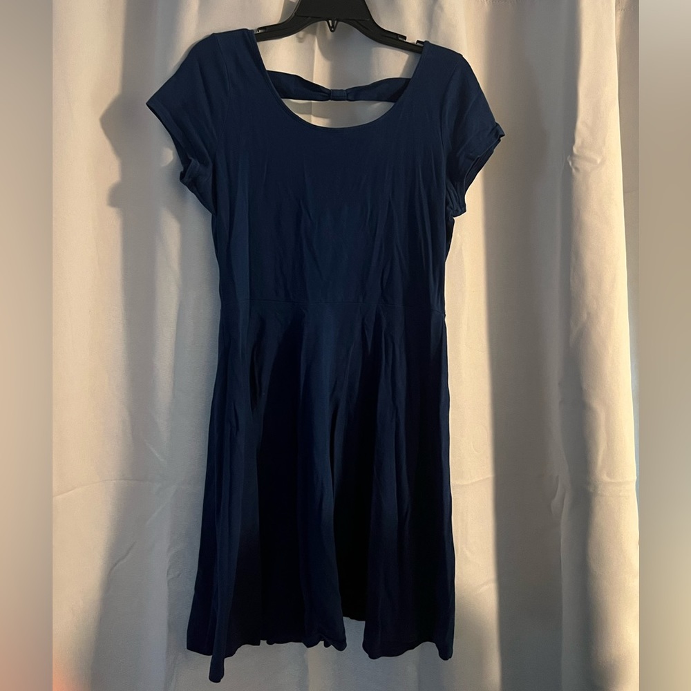 Blue Skater Dress